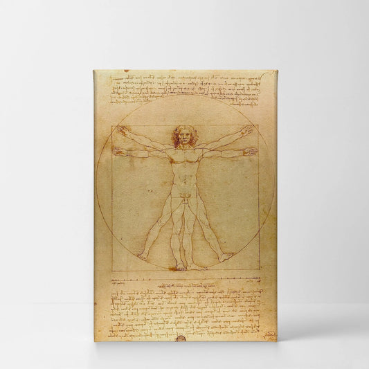 Vitruvian Man by Leonardo Da Vinci Canvas Wall Art Canvas Print Famous Art Painting Reproduction Fine Art Home Decor Ready to Hang- Made in USA- 36X24