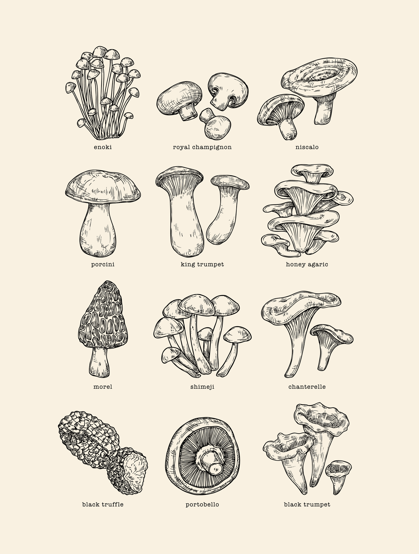 Mycology · Heather T-Shirt