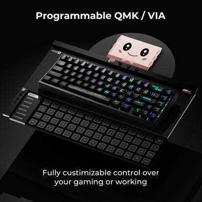 XVX M67 Miami Tri-Mode Mechanical Keyboard With IMD-Tech Keycaps