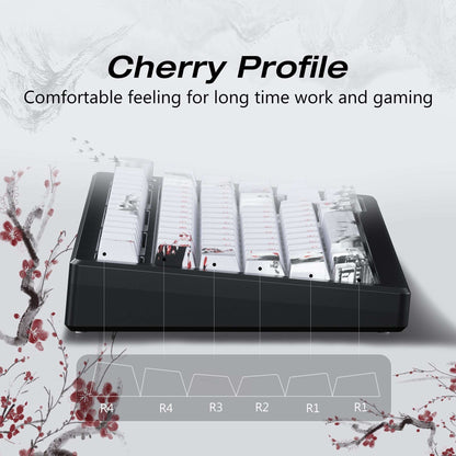 XVX  Plum Blossom Cherry Profile Double shot  5-sided Dye-Sub PBT Keycap Set (127-Key)