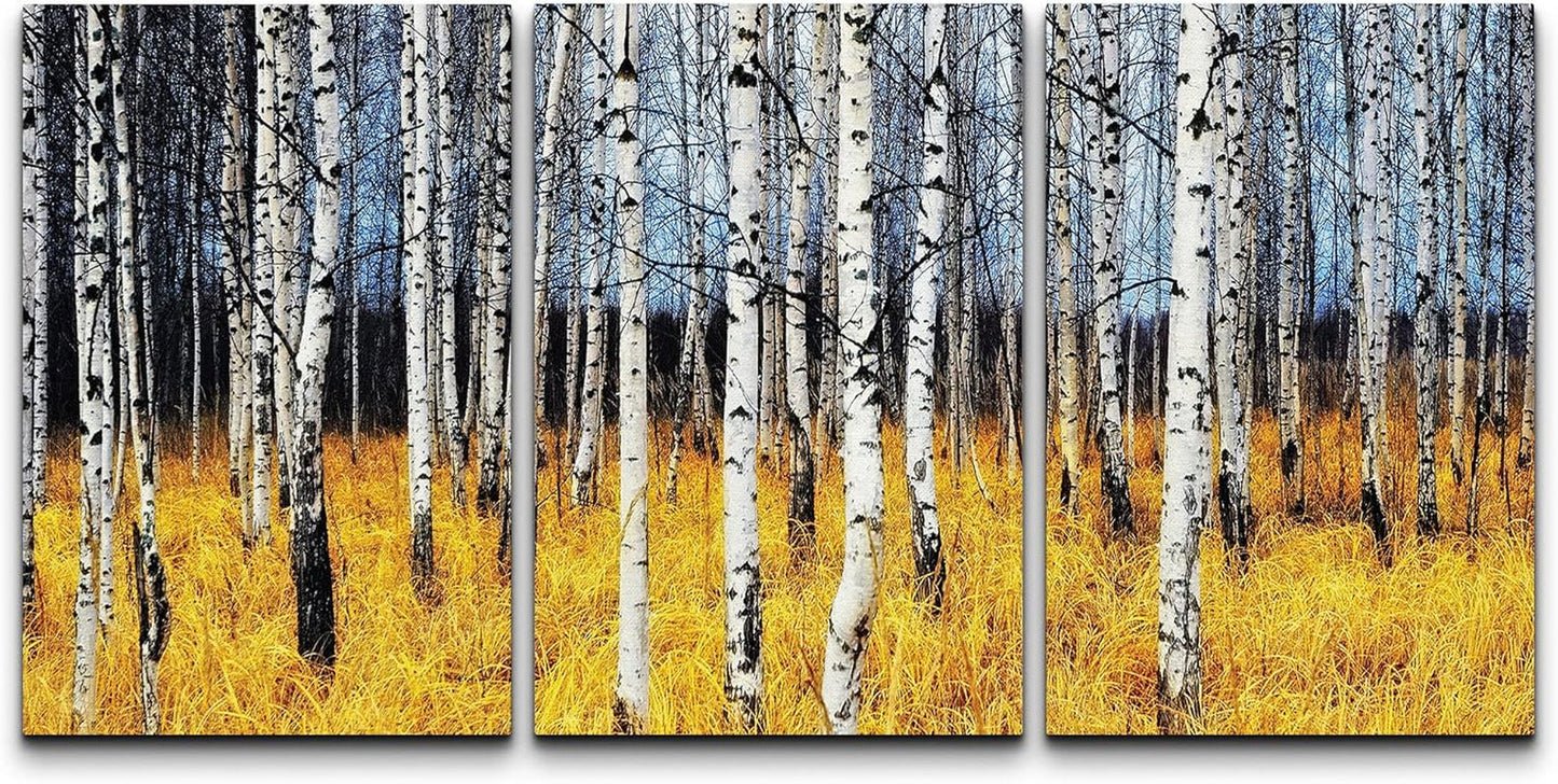 Stunning Aspen Trees Fall Colors - 3-Piece Canvas Art Set (24"x36")