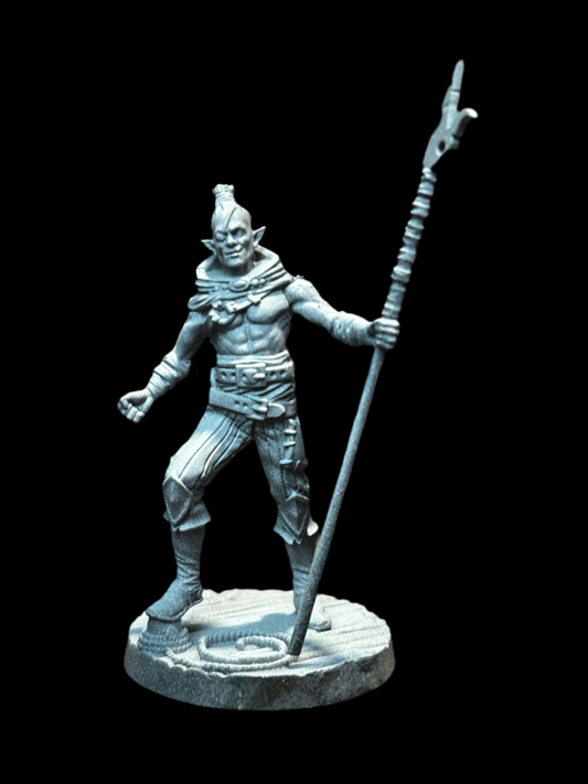 Elf Pirate - Spearman