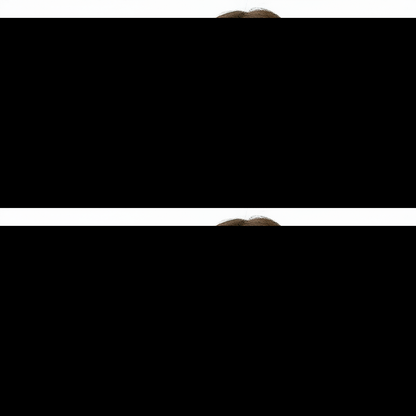 The Book of Halloween Book Wallet in Vinyl