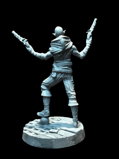 Elf Pirate - Gunslinger