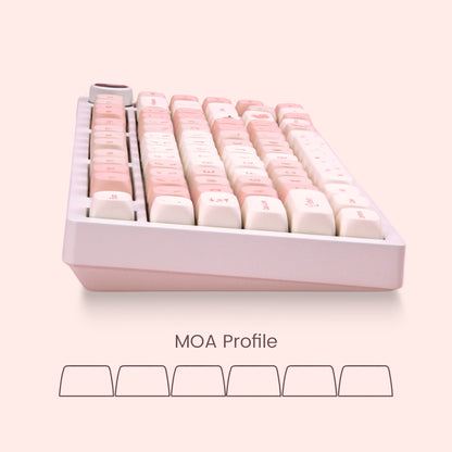 XVX Sakura 143-Key MOA Profile Dye-Sub PBT Keycap Set