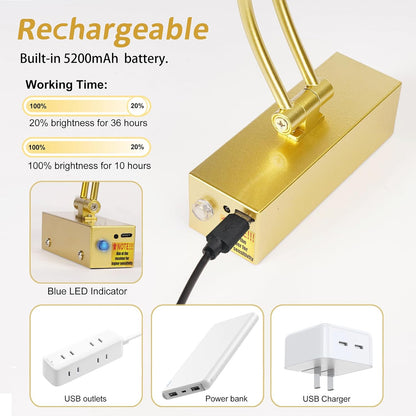 3 Pack Picture Light Battery Operated for Wall, 16" Wireless Display Art Lighting for Painting with Remote, Dimmable 5200mAh Library Light, Gold Picture Frame Lights for Gallery