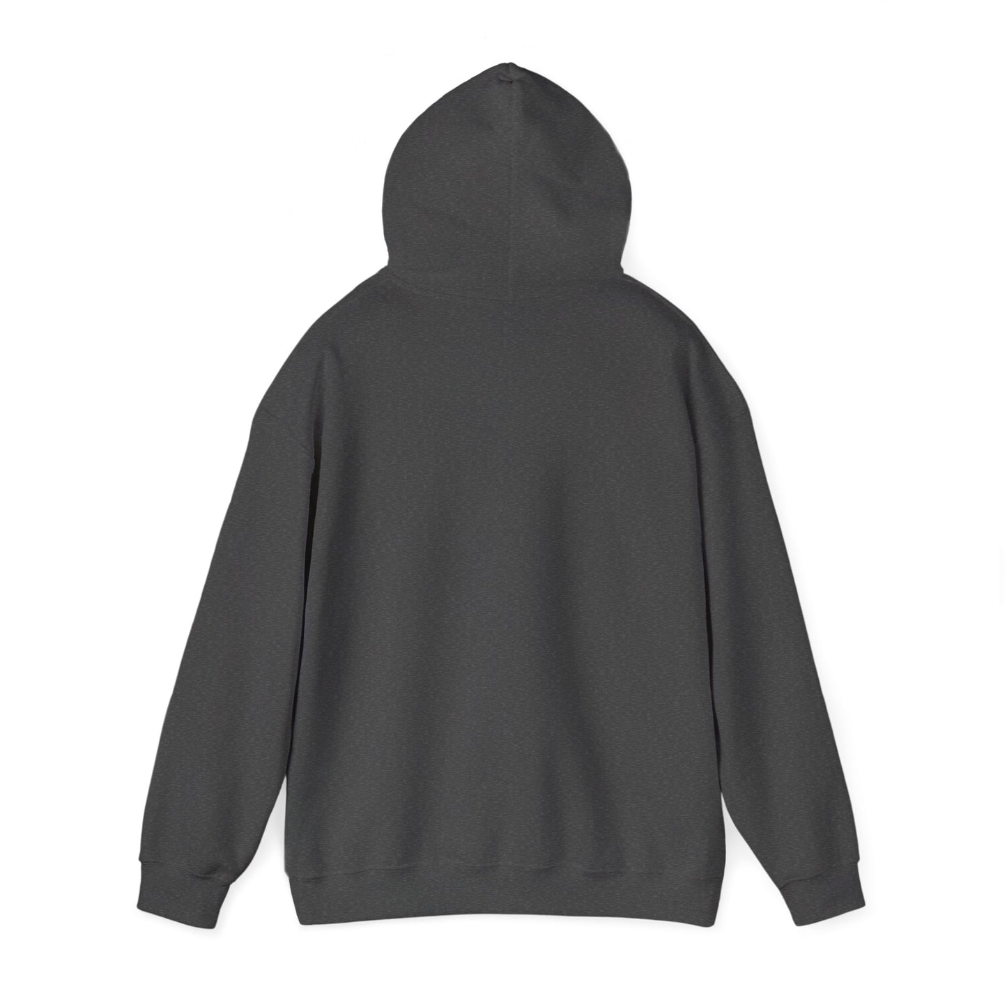 Altrui-Tech Moth Hoodie