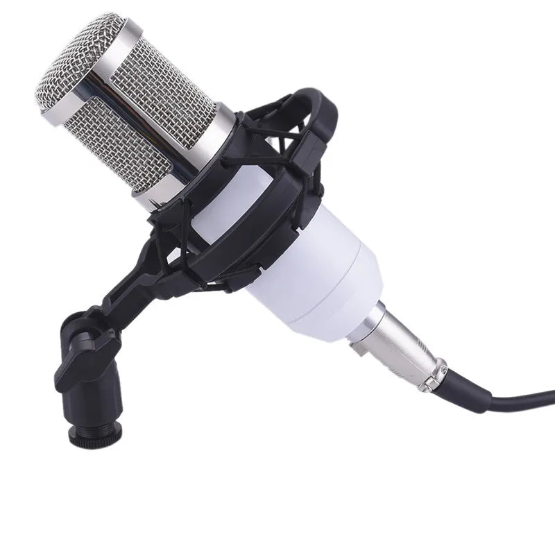 Professional BM-800 BM Condenser Microphone Pro Audio Studio Vocal Recording KTV Karaoke Desktop Metal Shock Mount