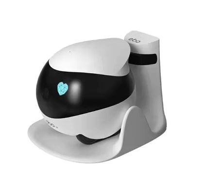 RoboView Mobile Security Cam