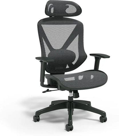 Dexley Ergonomic Mesh Swivel Task Chair, Black