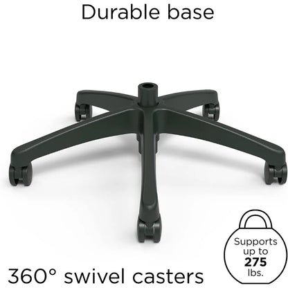 Dexley Ergonomic Mesh Swivel Task Chair, Black