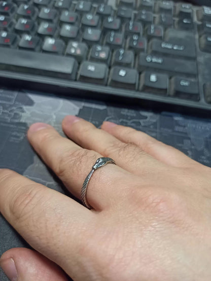 Ouroboros Snake Silver Ring